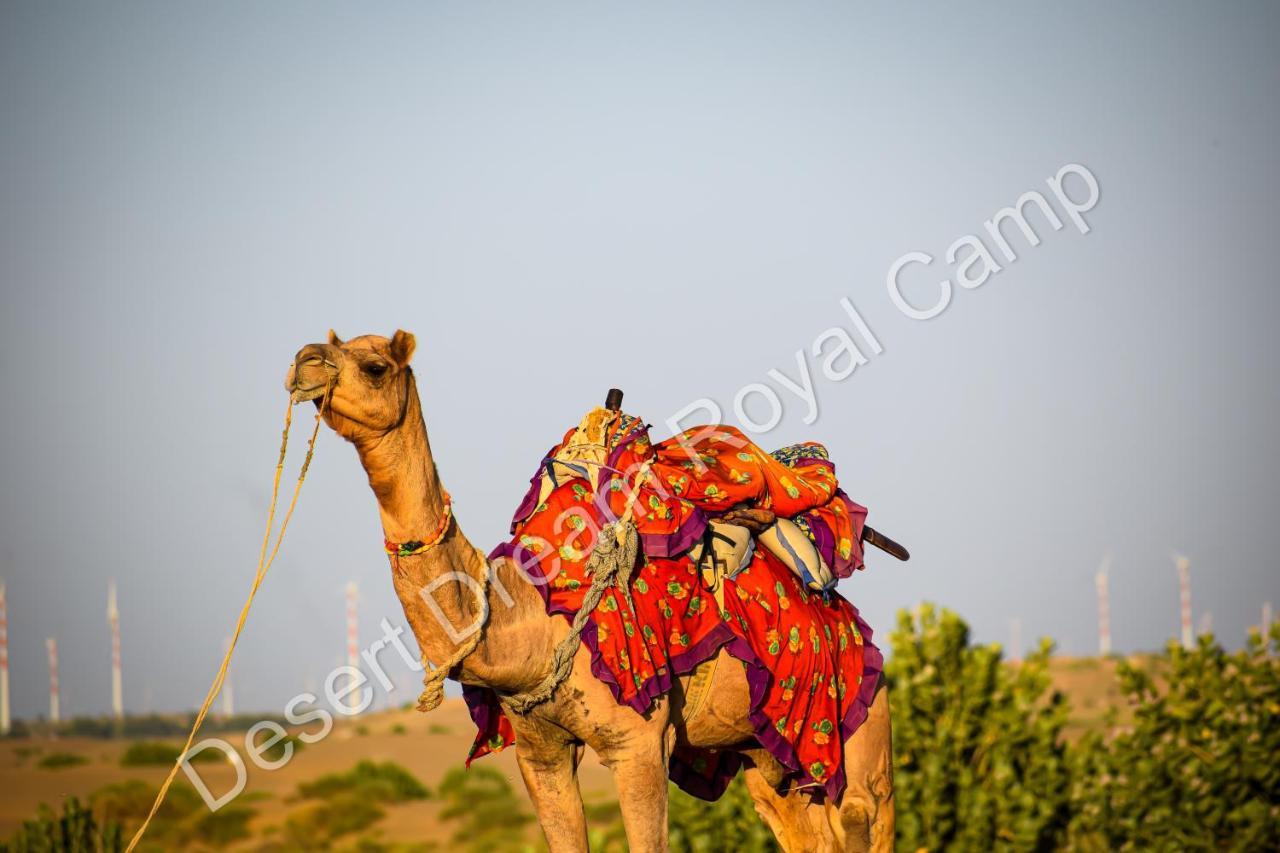 Desert Dream Royal Camp Hotel Jaisalmer Exterior foto